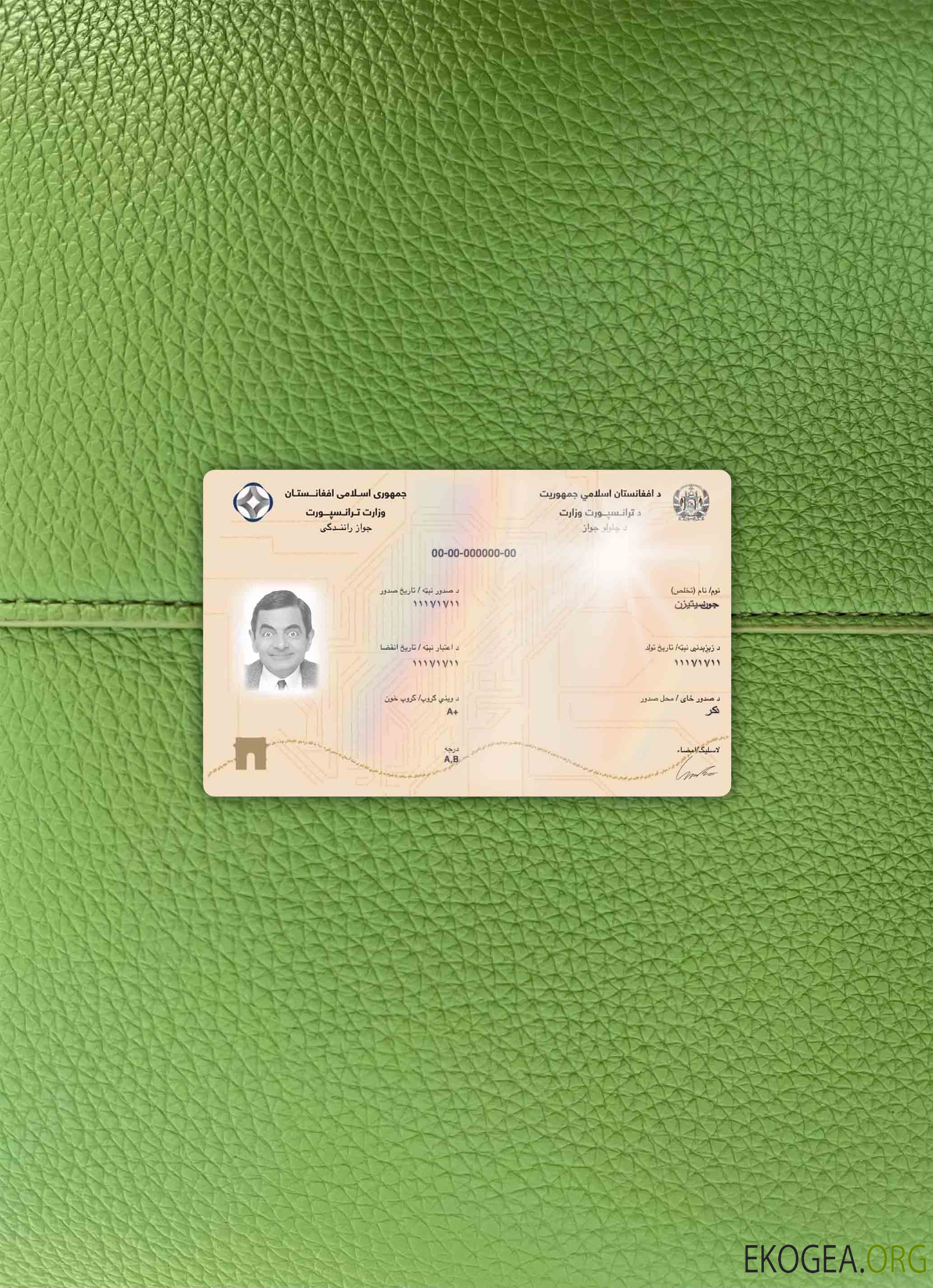 Afghanistan électronique DL, 2019 pres photolook AVANT